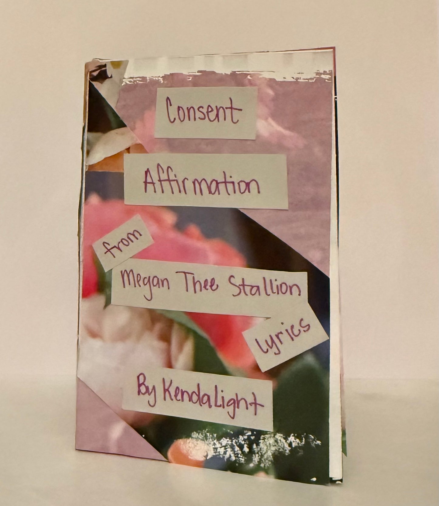 Consent Affirmation from Megan Thee Stallion Lyrics